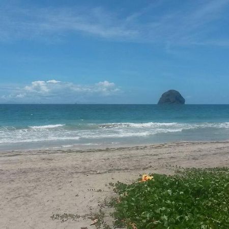 Charmant Et Spacieux Studio A 50M De La Plage Le Diamant Luaran gambar