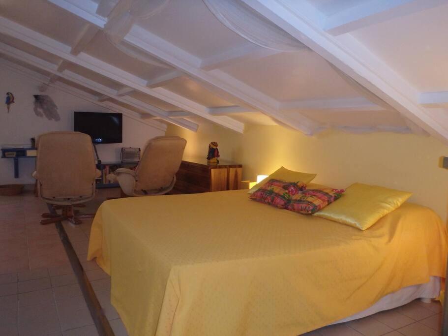 Charmant Et Spacieux Studio A 50M De La Plage Le Diamant Luaran gambar