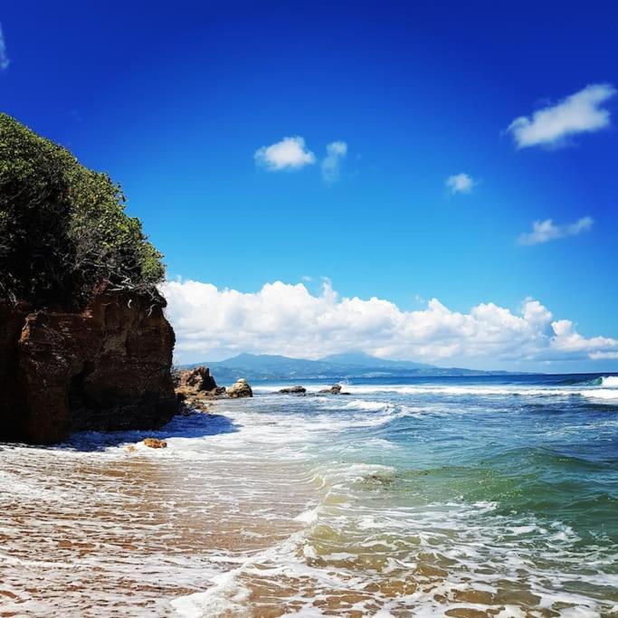 Charmant Et Spacieux Studio A 50M De La Plage Le Diamant Luaran gambar