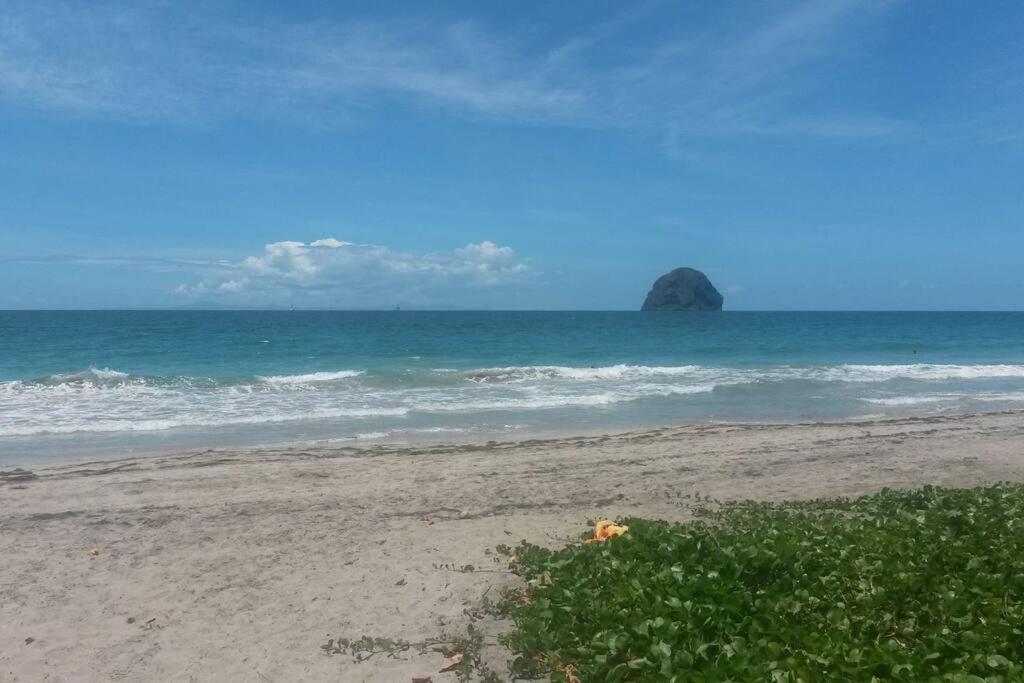 Charmant Et Spacieux Studio A 50M De La Plage Le Diamant Luaran gambar